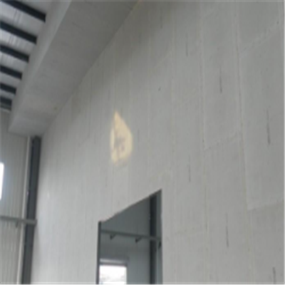 通山宁波ALC板|EPS加气板隔墙与混凝土整浇联接的实验研讨